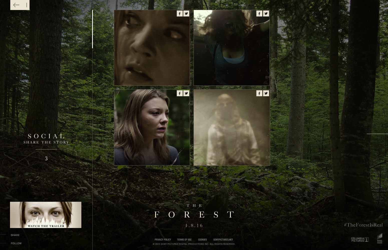 Sony Pictures - The Forest